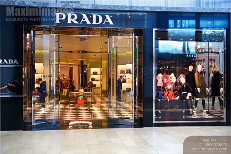 prada canafa|can you buy Prada online.